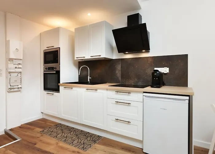 Apartament La Demeure Du Chevalier D'argent- Parking Gratuit Carcassonne