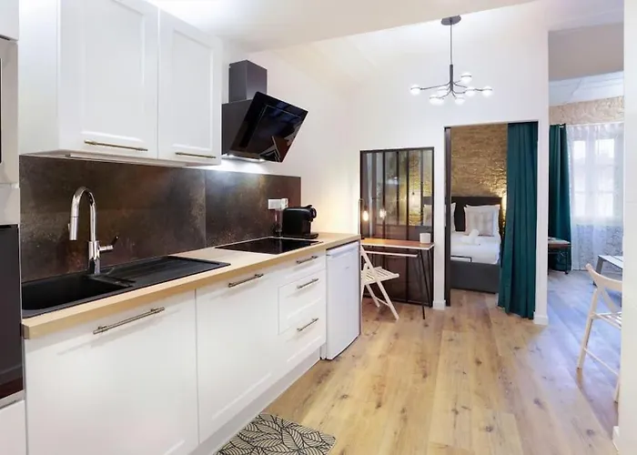 Apartament La Demeure Du Chevalier D'argent- Parking Gratuit