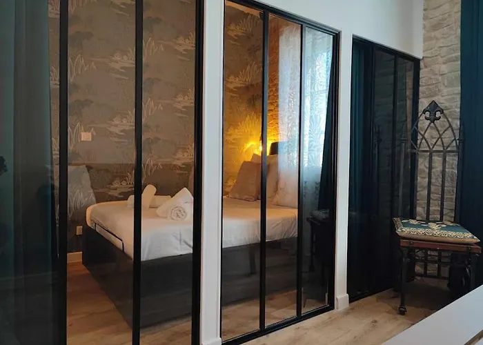 La Demeure Du Chevalier D'argent- Parking Gratuit Apartment Carcassonne