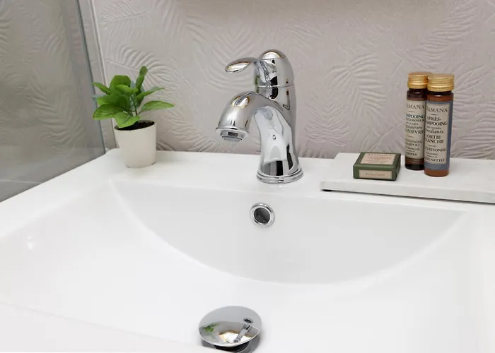 Apartment La Demeure Du Chevalier D'argent- Parking Gratuit